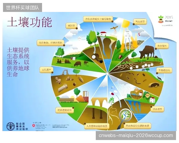 自动化的图文包装和内容模板，正在让充满地域文化特色的方言解说失去生存土壤，体育内容的文化多样性面临威胁